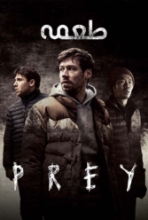 Player Cover