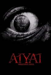 Player Cover