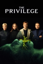 Player Cover