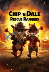 Player Cover