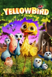 Player Cover