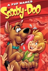 Player Cover