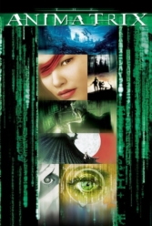 Player Cover