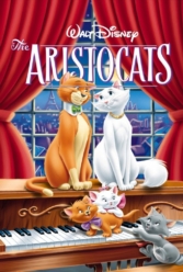 Player Cover