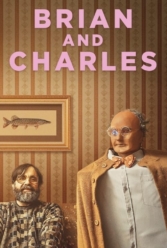Player Cover