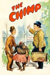 Player Cover