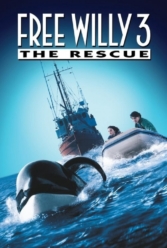 Player Cover