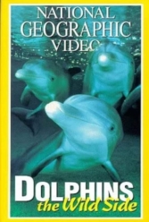 دانلود فیلم دلفین‌ های وحشی Dolphins: The Wild Side