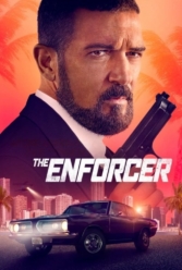 Player Cover