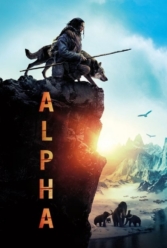 Player Cover