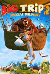 Player Cover