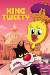 Player Cover