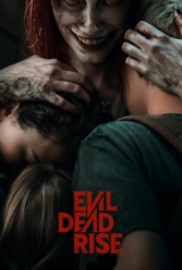 Player Cover