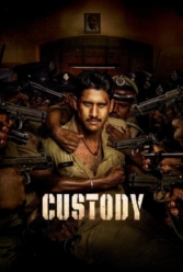 Player Cover