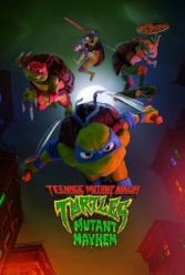 Player Cover
