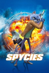 Player Cover