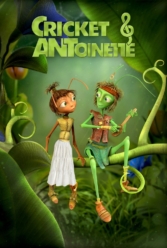 Player Cover
