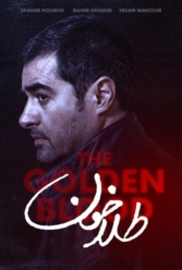 Player Cover