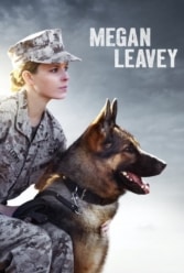 Player Cover