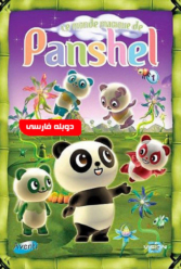 Player Cover