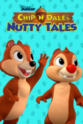 Player Cover
