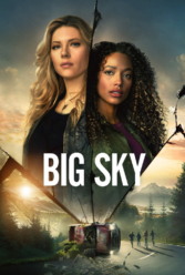 Player Cover
