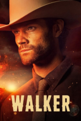 Player Cover