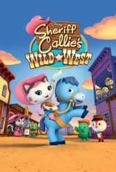 Player Cover