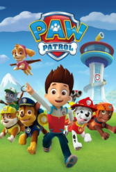 Player Cover