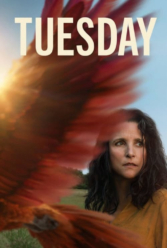 Player Cover
