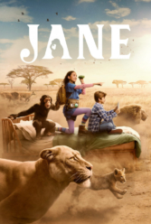 Player Cover
