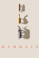 Player Cover