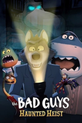 Player Cover