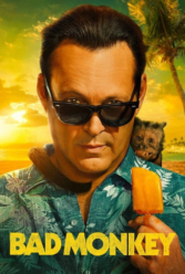Player Cover