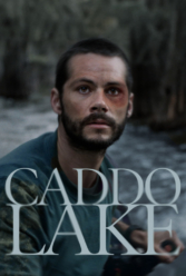 Player Cover