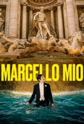 Player Cover