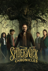 Player Cover