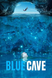 Player Cover