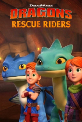 Player Cover
