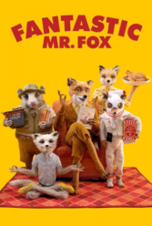 Player Cover
