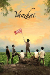 Player Cover