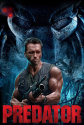 Player Cover