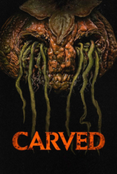 Player Cover