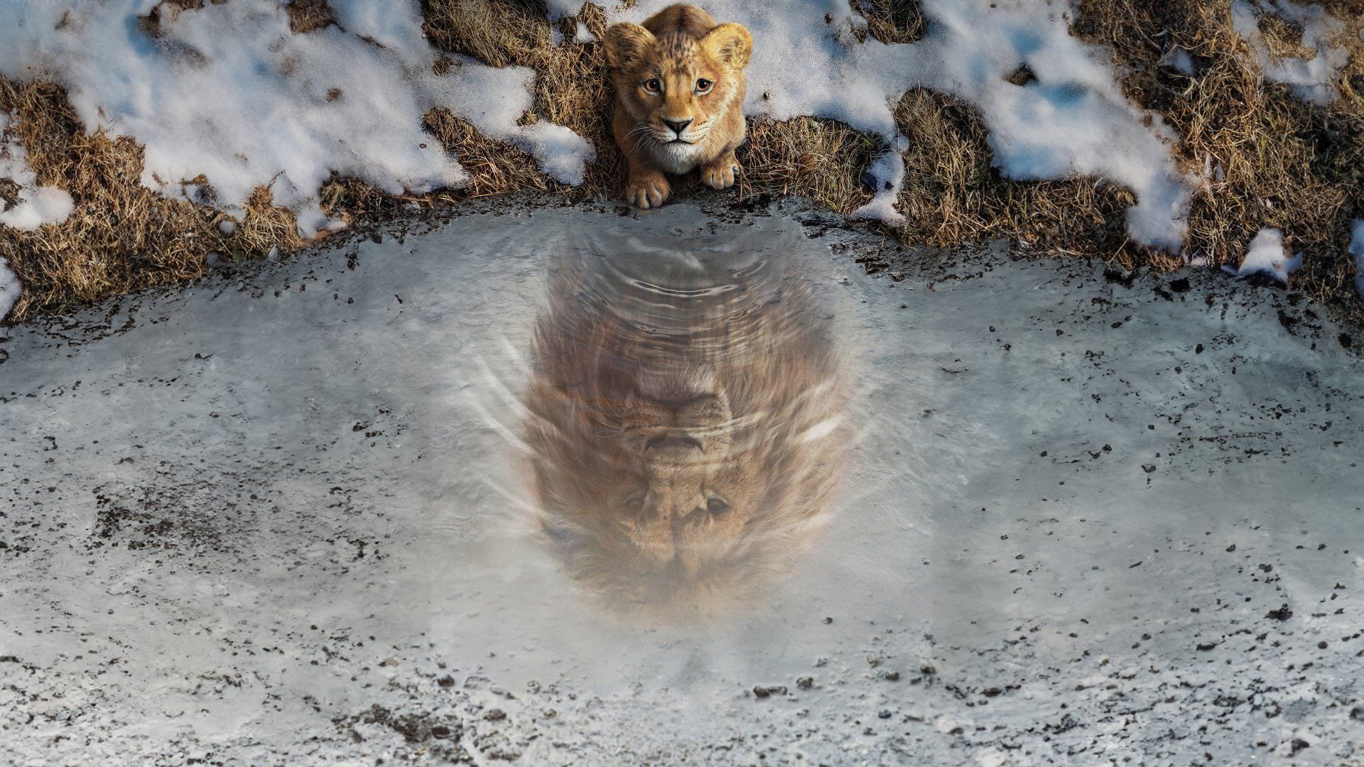 تاریخ رسمی انتشار نسخه با کیفیت فیلم Mufasa: The Lion King اعلام شد