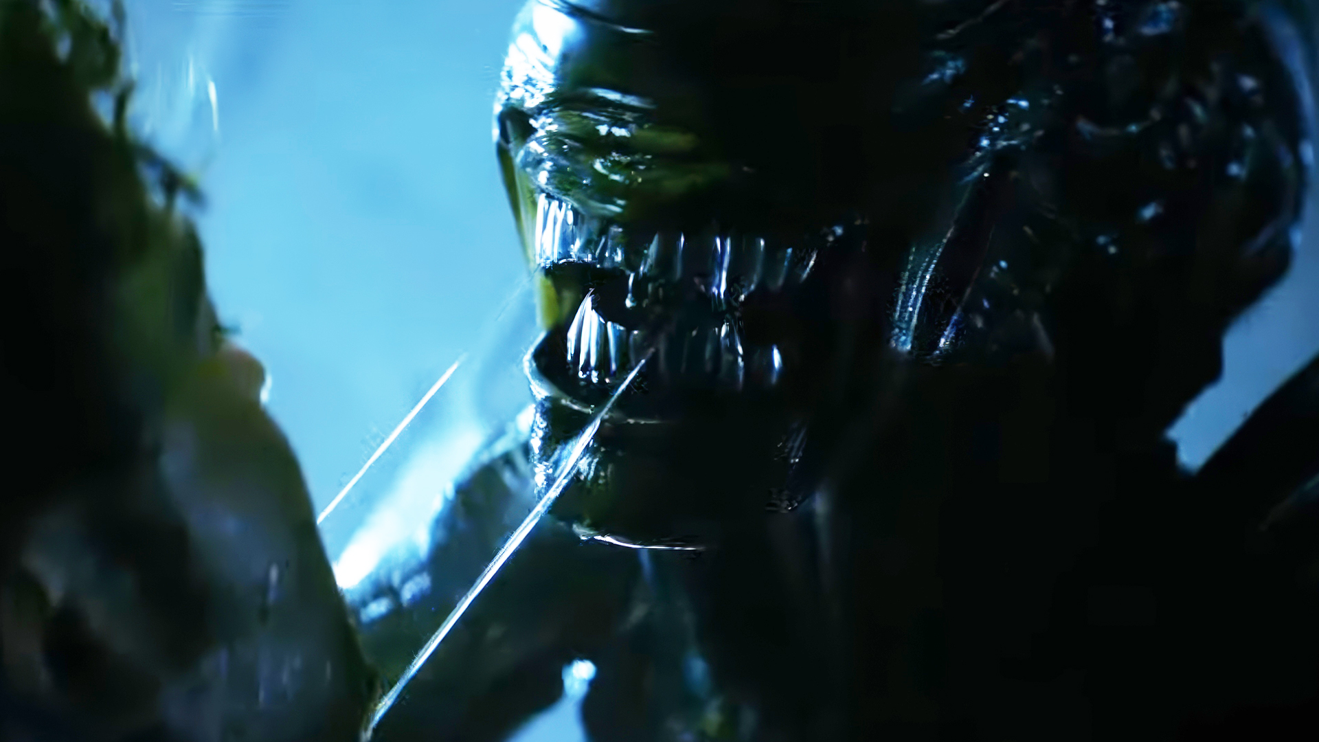 تیزر سریال Alien: Earth تهدید زنونورف‌ها را به تصویر می کشد