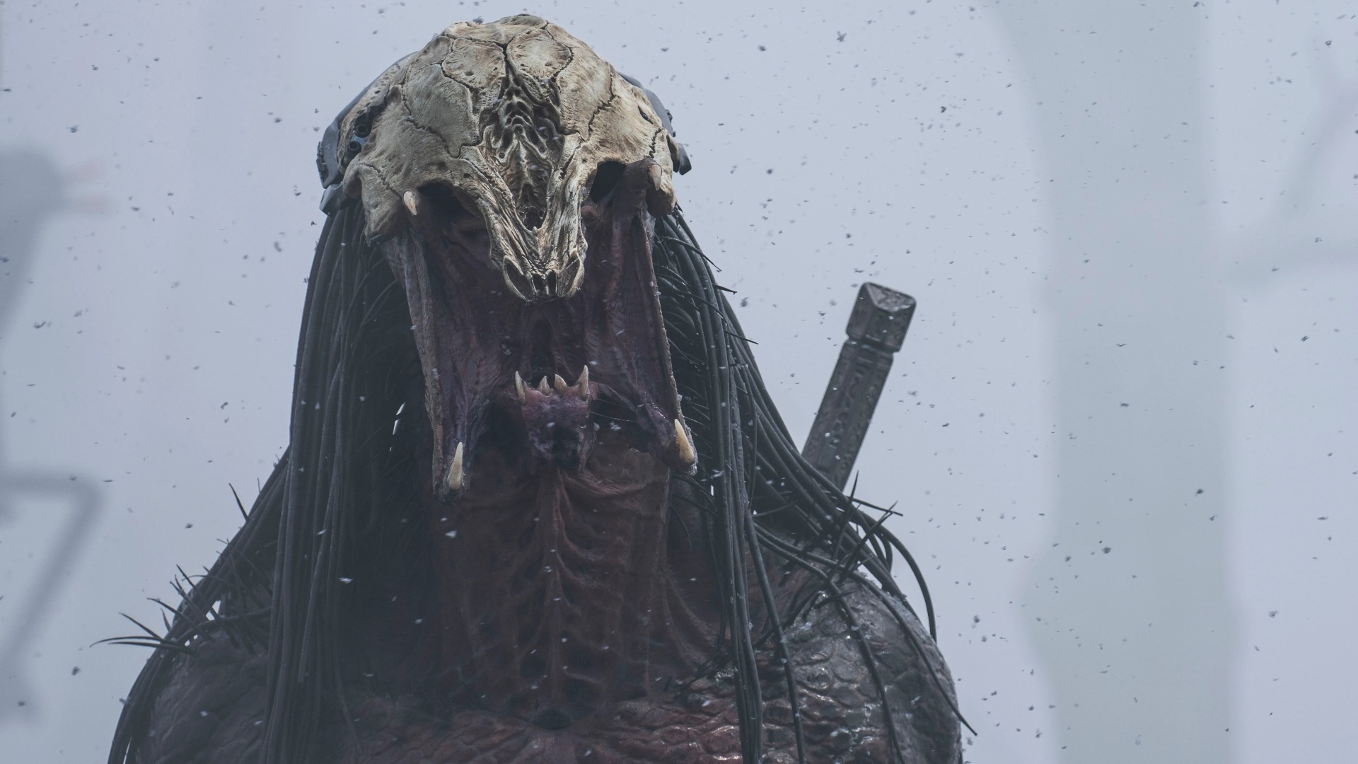 نخستین فیلم Predator: Badlands منتشر شد