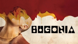 Player Cover