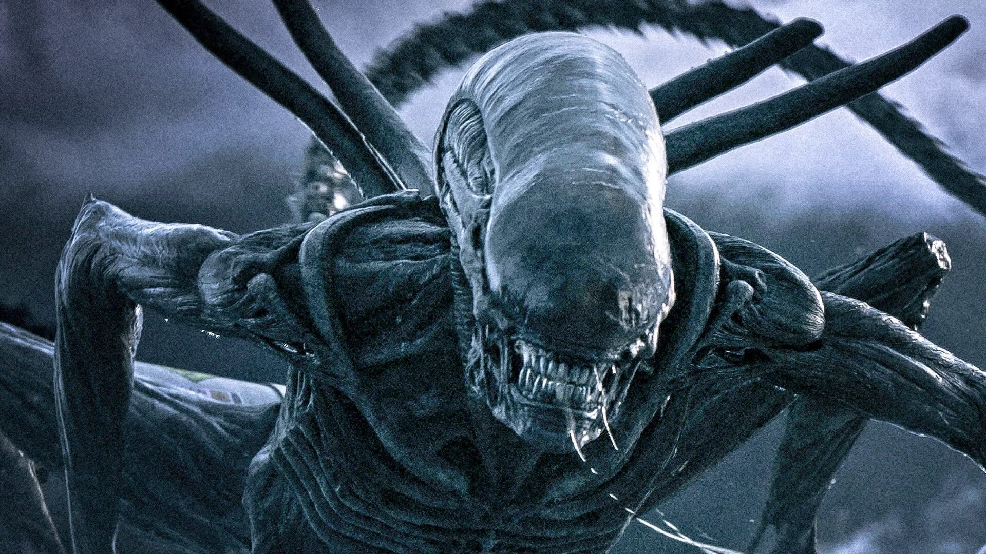 ساخت دنباله فیلم Alien: Covenant توسط ریدلی اسکات تایید شد