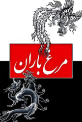 Player Cover